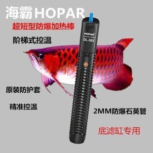 便宜好用的魚缸加熱棒有哪些：2024年魚缸加熱棒推薦，024年高性價比魚缸加熱棒精選，打造完美水族