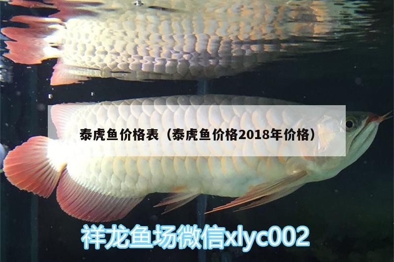 泰虎魚價格表（泰虎魚價格2018年價格）虎魚價格一覽，2018年市場行情與價格