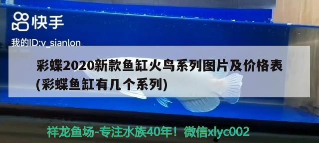 彩蝶2020新款魚缸火鳥系列圖片及價(jià)格表(彩蝶魚缸有幾個(gè)系列)蝶2020新款火鳥系列魚缸圖片及價(jià)格表 彩蝶2020新款魚缸火鳥系列圖片及價(jià)格表(彩蝶魚缸有幾個(gè)系列)蝶2020新款火鳥系列魚缸圖片及價(jià)格表 銀龍魚百科