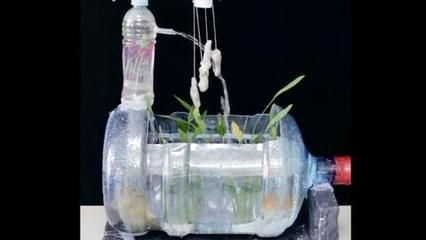 純凈水桶做魚缸好嗎：如何自制純凈水桶做魚缸，純凈水桶魚缸，打造生態(tài)友好型 純凈水桶做魚缸好嗎：如何自制純凈水桶做魚缸，純凈水桶魚缸，打造生態(tài)友好型 魚缸百科 第4張