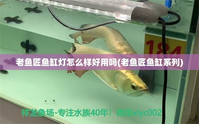 壽光市愛家水族館（壽光市愛家水族館電話）光市愛家水族館，探索海底奇觀，體驗