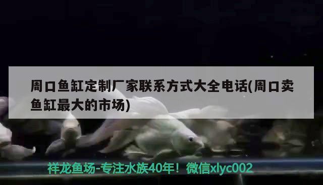 周口魚缸定制廠家聯(lián)系方式大全電話(周口賣魚缸最大的市場)口魚缸定制廠家聯(lián)系方式大全及市場分析