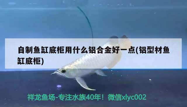 自制魚缸底柜用什么鋁合金好一點(鋁型材魚缸底柜)完美水族空間，選擇最佳鋁合金底