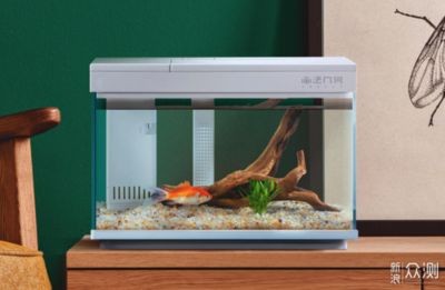 不大不小的魚缸多少升水：如何計算魚缸的容積，計算魚缸的合適容積，確定適宜水量 不大不小的魚缸多少升水：如何計算魚缸的容積，計算魚缸的合適容積，確定適宜水量 魚缸百科 第1張