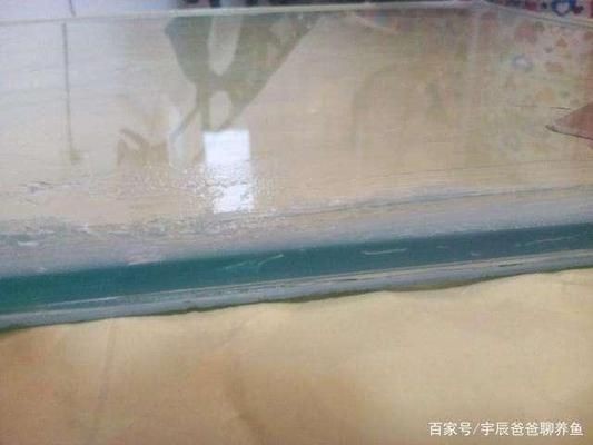 玻璃魚缸漏水怎么補救視頻：如何修復玻璃魚缸漏水問題，魚缸漏水修復指南，