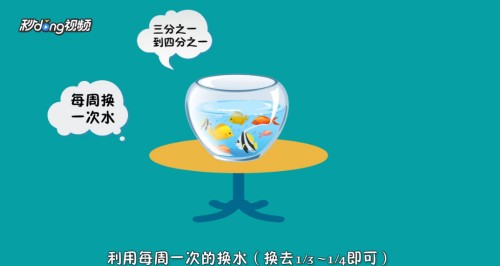 昌樂縣鑫星水族館（昌樂縣鑫星水族館電話）樂縣鑫星水族館，探索海洋生物的神秘世界