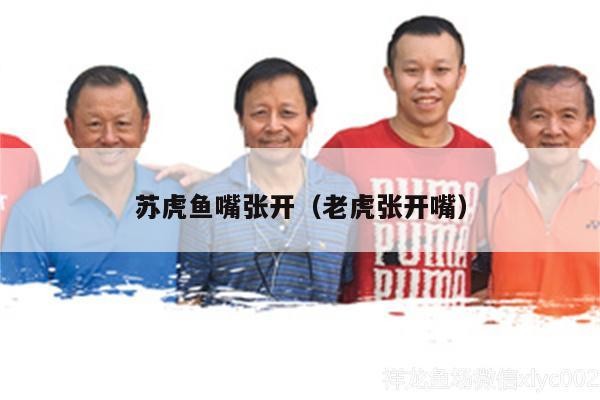 蘇虎魚嘴張開（老虎張開嘴）虎魚的霸氣展現(xiàn)，老虎般的張