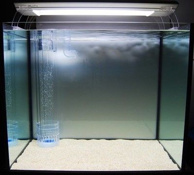 玻璃魚(yú)缸裂了怎么辦呢：如何修補(bǔ)玻璃魚(yú)缸的裂痕，魚(yú)缸裂了怎么辦，修補(bǔ)技巧與注意事項(xiàng) 玻璃魚(yú)缸裂了怎么辦呢：如何修補(bǔ)玻璃魚(yú)缸的裂痕，魚(yú)缸裂了怎么辦，修補(bǔ)技巧與注意事項(xiàng) 魚(yú)缸百科 第2張