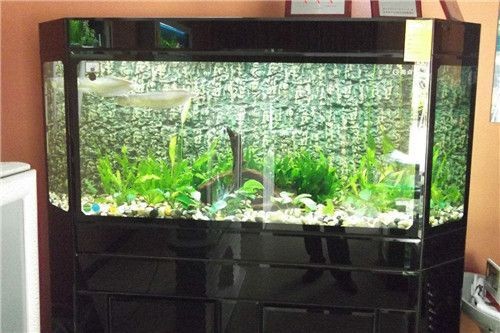 多大的魚缸用多大流量的泵如何算：如何選擇魚缸水泵，如何選擇合適大小的魚缸水泵，計算流量與