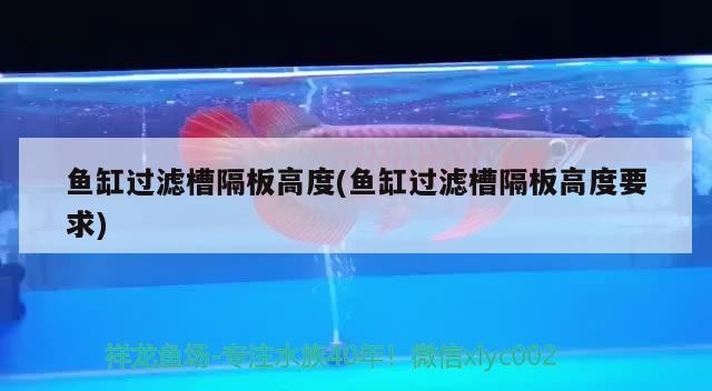 魚缸過濾槽隔板高度(魚缸過濾槽隔板高度要求)過濾槽隔板高度指南，確保水質 魚缸過濾槽隔板高度(魚缸過濾槽隔板高度要求)過濾槽隔板高度指南，確保水質 銀龍魚百科