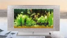 博雅水族魚缸兩側濾芯怎么安裝:博雅水族魚缸兩側濾芯安裝步驟,雅水族魚缸兩側濾芯安裝指南, 魚缸百科 第4張 博雅水族魚缸兩側濾芯怎么安裝:博雅水族魚缸兩側濾芯安裝步驟,雅水族魚缸兩側濾芯安裝指南, 博雅水族魚缸兩側濾芯怎么安裝:博雅水族魚缸兩側濾芯安裝步驟,雅水族魚缸兩側濾芯安裝指南, 魚缸百科 第4張
