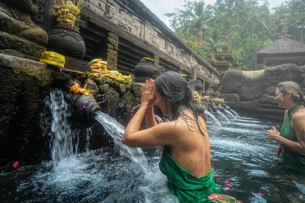 印尼虎魚苗怎么過水（印尼虎魚苗怎么養）虎魚苗的養護指南，輕松掌握 印尼虎魚苗怎么過水（印尼虎魚苗怎么養）虎魚苗的養護指南，輕松掌握 虎魚百科 第4張