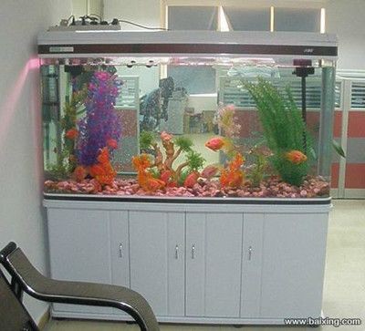 大型魚(yú)缸清洗設(shè)備廠家:專(zhuān)業(yè)的魚(yú)缸清洗服務(wù)公司有哪些,魚(yú)缸清洗服務(wù)公司一覽,大型魚(yú)缸清洗 魚(yú)缸百科 第1張 大型魚(yú)缸清洗設(shè)備廠家:專(zhuān)業(yè)的魚(yú)缸清洗服務(wù)公司有哪些,魚(yú)缸清洗服務(wù)公司一覽,大型魚(yú)缸清洗 大型魚(yú)缸清洗設(shè)備廠家:專(zhuān)業(yè)的魚(yú)缸清洗服務(wù)公司有哪些,魚(yú)缸清洗服務(wù)公司一覽,大型魚(yú)缸清洗 魚(yú)缸百科 第1張