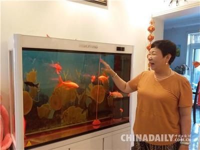 大興魚缸賣魚缸的地方在哪里：大興區魚缸定制與保養，區魚缸定制與保養服務指南，尋找專業魚缸銷售與維護