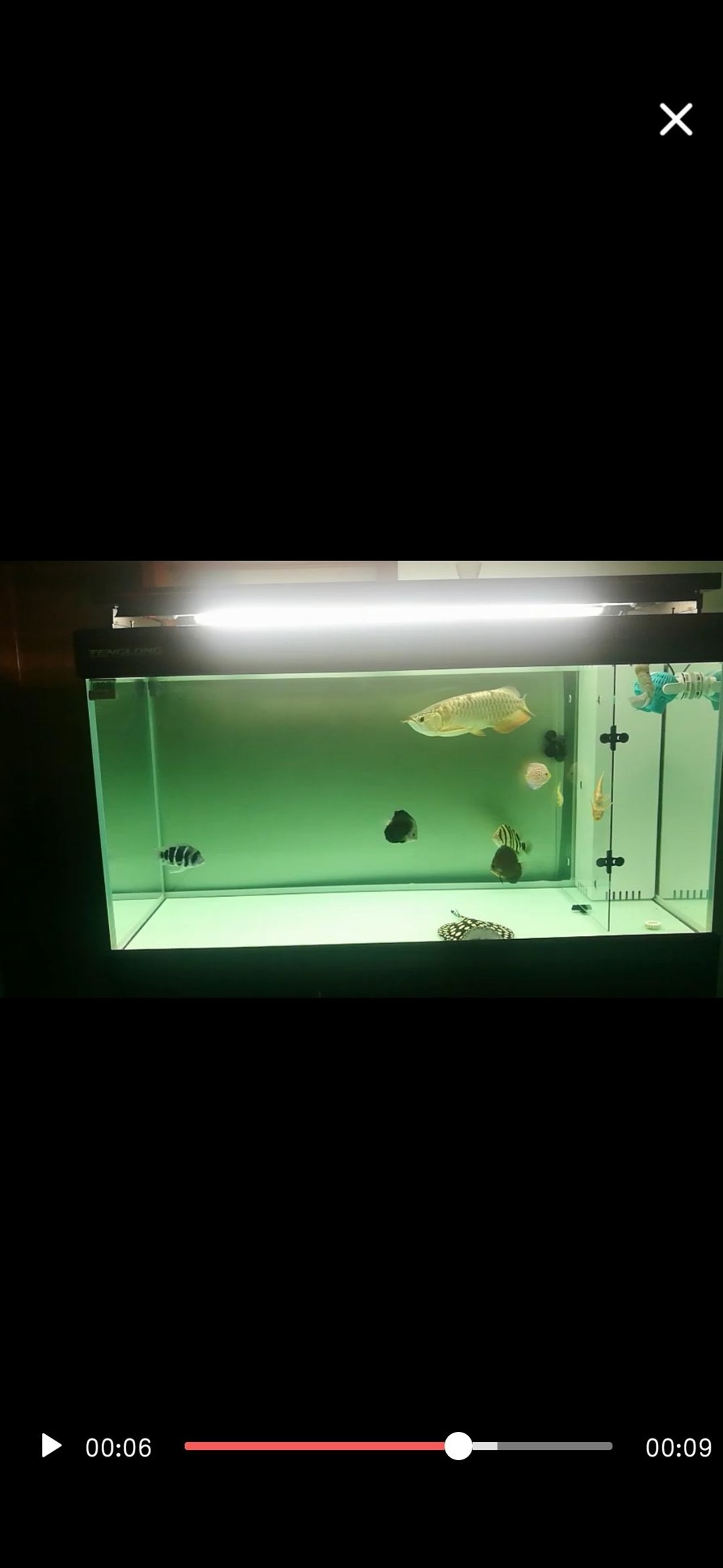 立貼為證不再折騰老老實實做人規(guī)規(guī)矩矩養(yǎng)魚，立下誓言，規(guī)矩養(yǎng)魚，誠實做人——新時代的自律之道