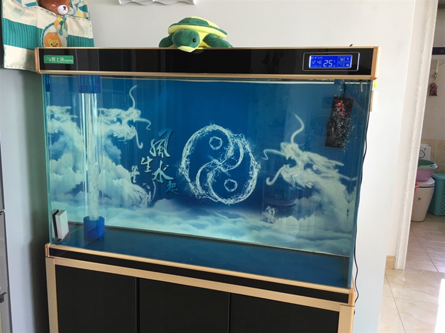 魚缸空空虎魚圈，魚愛好者的空魚缸，探索與生態 魚缸空空虎魚圈，魚愛好者的空魚缸，探索與生態 虎魚百科