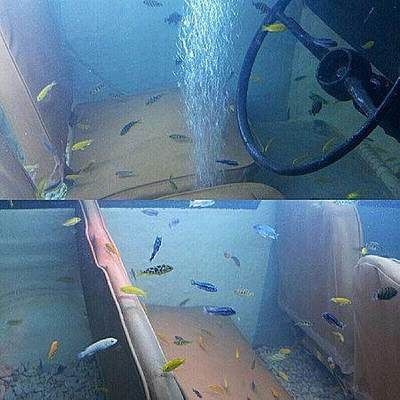 大魚缸滲水怎么補漏,用補漏劑有用嗎：大魚缸滲水怎么辦？魚缸滲水補漏攻略，補漏劑效果解析及緊急