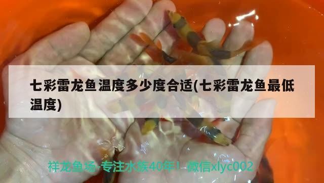 開打虎魚，魚開缸，揭秘如何打造一個充滿活力的虎魚水族