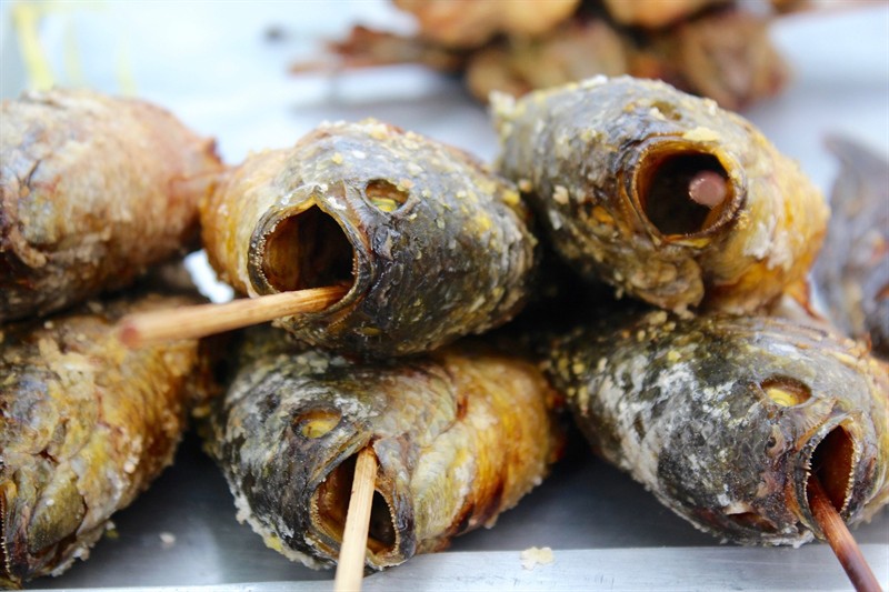 雷龍魚可以和蝦虎魚一起養嗎圖片（虎魚可以跟雷龍魚一起養嗎）龍魚與蝦虎魚共養指南，虎魚與雷