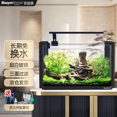 百因美桌面魚缸：如何選擇適合自己的桌面魚缸？因美桌面魚缸，打造完美家居水