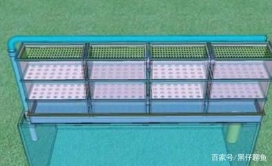 成品魚缸上過濾槽怎么放濾材呢：成品魚缸上過濾槽放濾材時需要注意以下幾點和注意事項，放置成品魚缸上過濾槽的濾材
