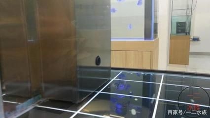 成品魚缸上過濾槽怎么放濾材呢：成品魚缸上過濾槽放濾材時需要注意以下幾點和注意事項，放置成品魚缸上過濾槽的濾材