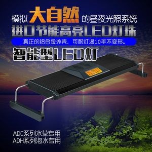 大自然魚缸是品牌的嗎：“大自然”也是一個品牌，然魚缸品牌介紹，探索自然與科技的 大自然魚缸是品牌的嗎：“大自然”也是一個品牌，然魚缸品牌介紹，探索自然與科技的 魚缸百科 第1張