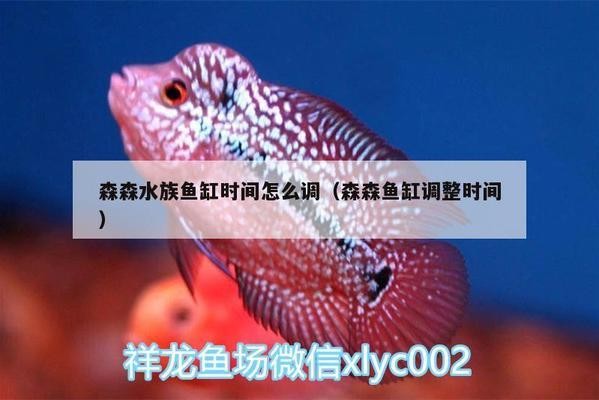 廣水市潮渤水族館（廣水市潮渤水族館電話）水市潮渤水族館，探索