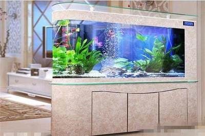 超白金晶魚缸品牌排行：bessn金晶五線汽車級超白玻璃魚缸品牌排行榜，白金晶魚缸品牌排行揭曉，bessn金晶五線汽車級超白玻璃