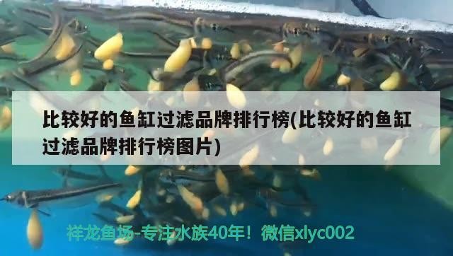 比較好的魚缸過濾品牌排行榜(比較好的魚缸過濾品牌排行榜圖片)2023年頂級魚缸過濾品牌排行榜，挑選適合您水族箱的高效過濾