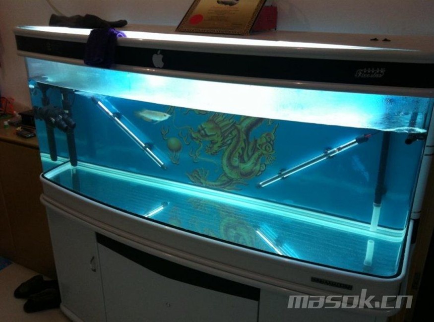 大魚缸怎么加熱，魚缸加熱技巧，安全高效地為大型水族箱提供恒溫