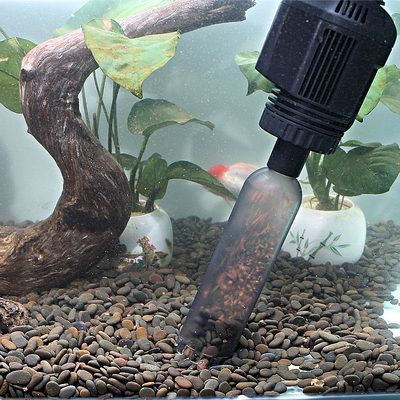 大型魚缸魚缸怎么換水：大型魚缸換水方法和注意事項，掌握技巧，大型魚缸換水的正確方法