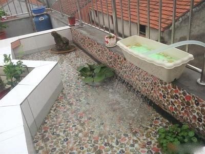 大魚缸漏水怎么修復視頻教學：如何選擇合適的魚缸膠，大魚缸漏水修復指南，專業視頻教程詳解選擇合適的魚缸膠 大魚缸漏水怎么修復視頻教學：如何選擇合適的魚缸膠，大魚缸漏水修復指南，專業視頻教程詳解選擇合適的魚缸膠 魚缸百科 第1張