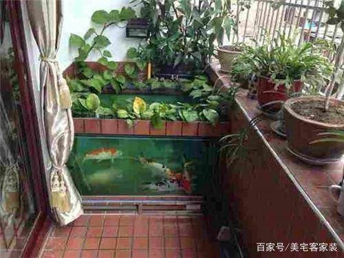北陽臺放魚缸有什么講究：陽臺養魚的風水注意事項，北陽臺養魚風水講究，揭秘陽臺養魚的禁忌與