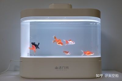 惠東縣大嶺鎮瑞升水族漁具店(惠東縣大嶺鎮瑞升水族漁具店地址)東縣大嶺鎮瑞升水族漁具店詳細地址 全國水族館企業名錄 第1張 惠東縣大嶺鎮瑞升水族漁具店(惠東縣大嶺鎮瑞升水族漁具店地址)東縣大嶺鎮瑞升水族漁具店詳細地址 惠東縣大嶺鎮瑞升水族漁具店(惠東縣大嶺鎮瑞升水族漁具店地址)東縣大嶺鎮瑞升水族漁具店詳細地址 全國水族館企業名錄 第1張