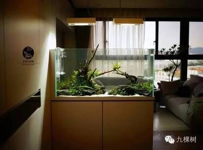 敞開式魚缸如何改成密閉式魚缸：如何將敞開式魚缸改成密閉式魚缸？如何將敞開式魚缸改造成密閉