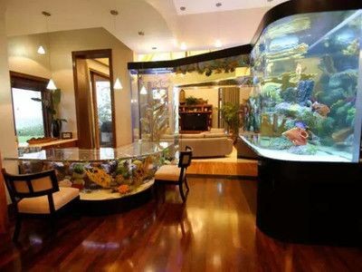 敞開式魚缸如何改成密閉式魚缸：如何將敞開式魚缸改成密閉式魚缸？如何將敞開式魚缸改造成密閉
