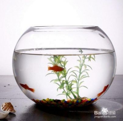 超白魚缸劃痕怎么去除：法黑色破洞褲搭配什么t恤黑色破洞褲搭配什么t恤好看