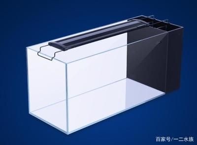 側濾魚缸怎么改成底濾：側濾魚缸改造底濾的優點和注意事項