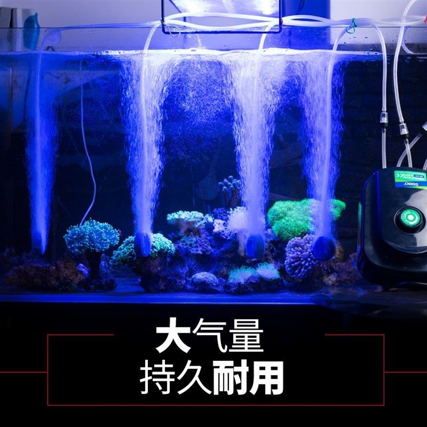 多大的魚(yú)缸用多大的氧氣泵：如何選擇合適的氧氣泵