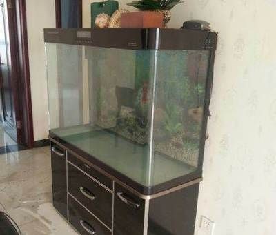 搬家魚(yú)缸搬家?guī)Р蛔咴趺崔k視頻：魚(yú)缸搬運(yùn)技巧