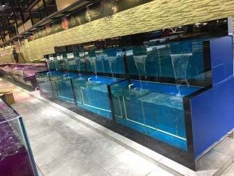 超市有沒有賣魚缸的：超市海鮮魚缸哪個牌子好