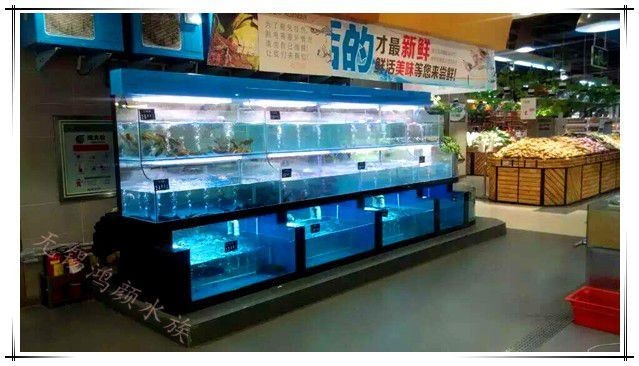 超市有沒有賣魚缸的：超市海鮮魚缸哪個牌子好