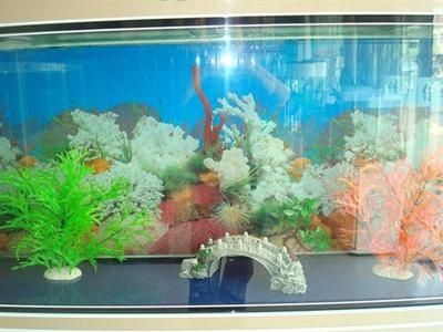 玻璃膠粘魚缸多長時間能使用完：玻璃膠粘魚缸多長時間能使用完魚缸的壽命和保養方法