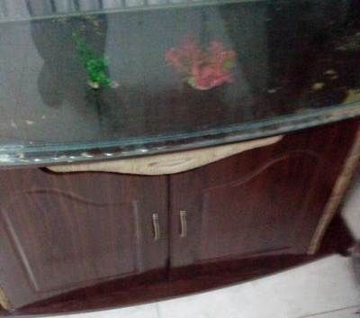 玻璃魚缸劃痕怎么處理最好：如何修復魚缸玻璃劃痕