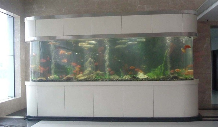 玻璃魚缸劃痕怎么處理最好：如何修復魚缸玻璃劃痕