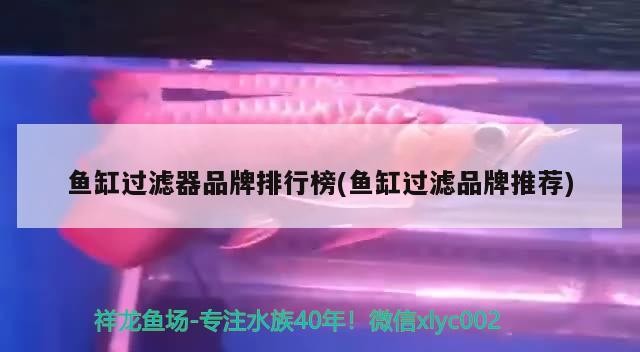魚缸過濾器品牌排行榜(魚缸過濾品牌推薦)