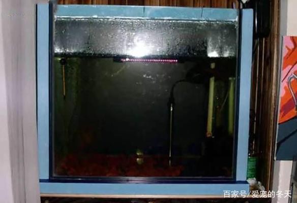 長興雉城凌氏水族館（長興雉城凌氏水族館地址）
