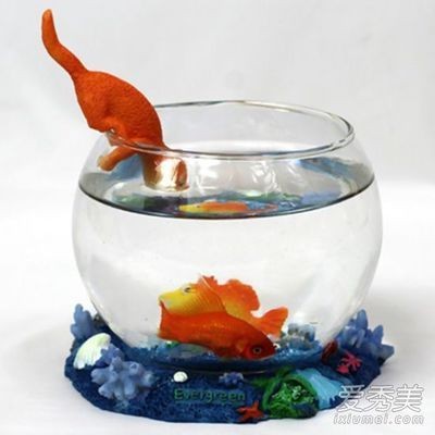 白魚缸和黑魚缸哪個好:白魚缸和黑魚缸各有優缺點 魚缸百科 第2張 白魚缸和黑魚缸哪個好:白魚缸和黑魚缸各有優缺點 白魚缸和黑魚缸哪個好:白魚缸和黑魚缸各有優缺點 魚缸百科 第2張