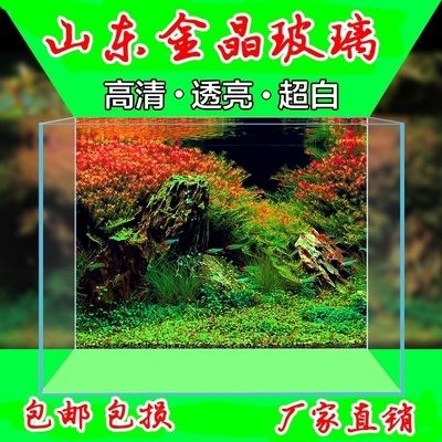 茶臺魚缸 玻璃：在選擇茶臺魚缸時，需要考慮以下幾個方面，您需要考慮 茶臺魚缸 玻璃：在選擇茶臺魚缸時，需要考慮以下幾個方面，您需要考慮 魚缸百科 第3張